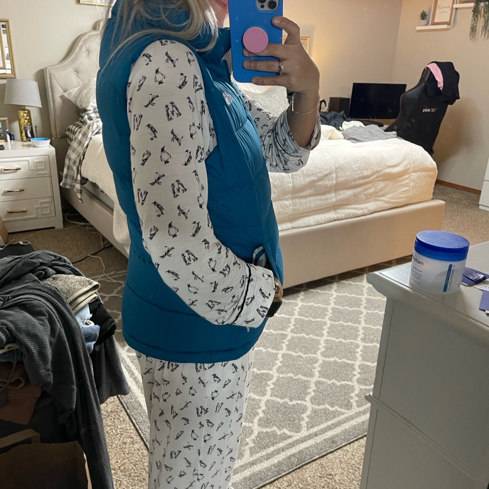 The North Face Nuptse 700 Teal Puffer Vest - Picture 15 of 16